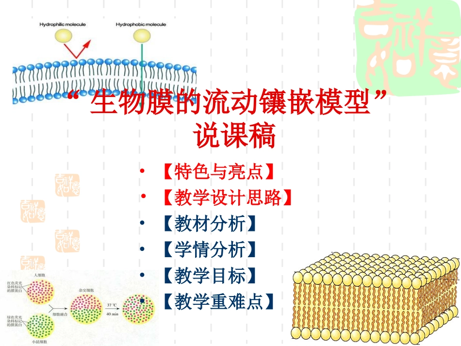 人教版教学素材说课_生物膜的流动镶嵌模型 上学期_第1页