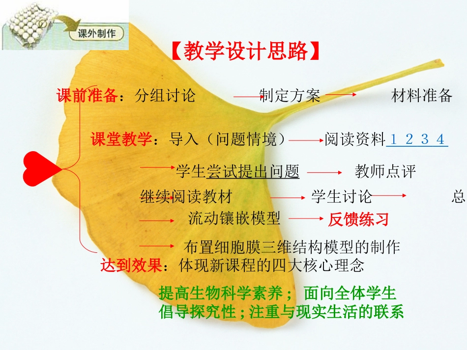 人教版教学素材说课_生物膜的流动镶嵌模型 上学期_第3页