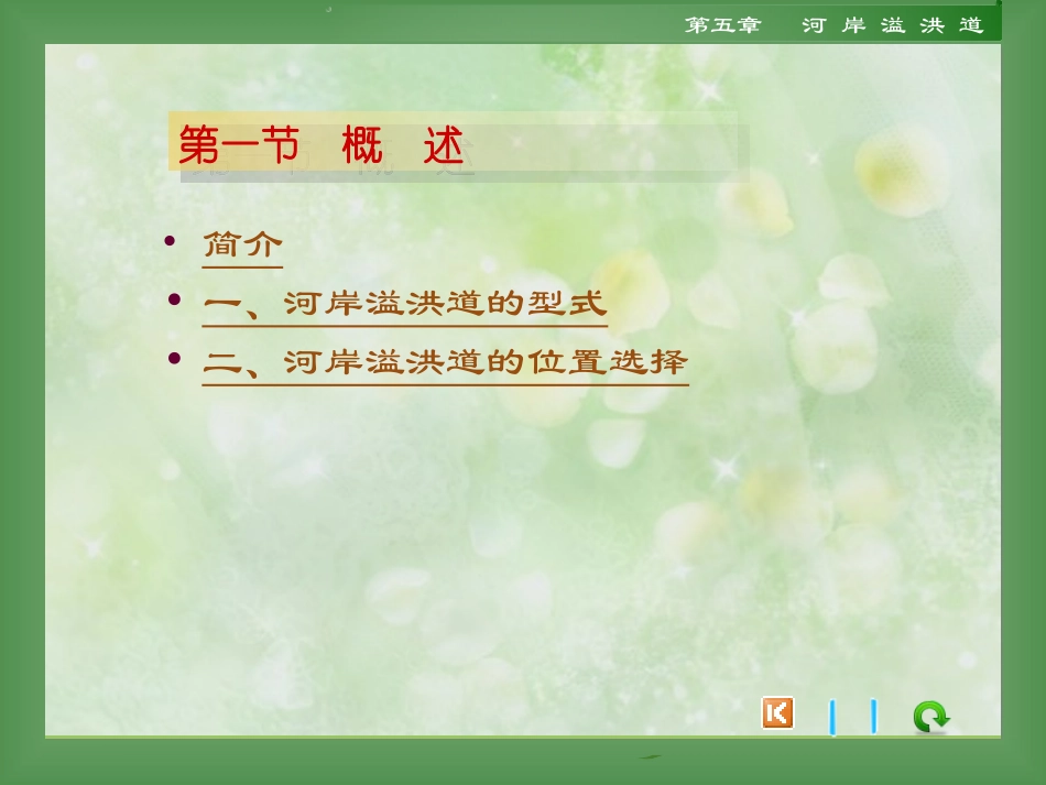 第五章  河岸溢洪道_第2页