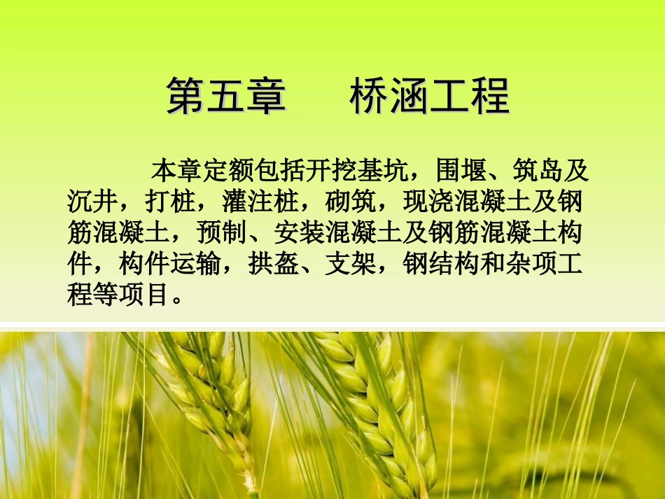 第五章 桥涵工程_第1页