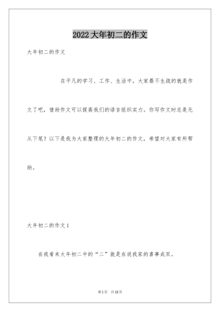 2024大年初二的作文_4