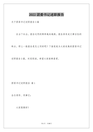 2024团委书记述职报告_3