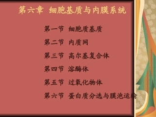 第六章 细胞基质与内膜系统1