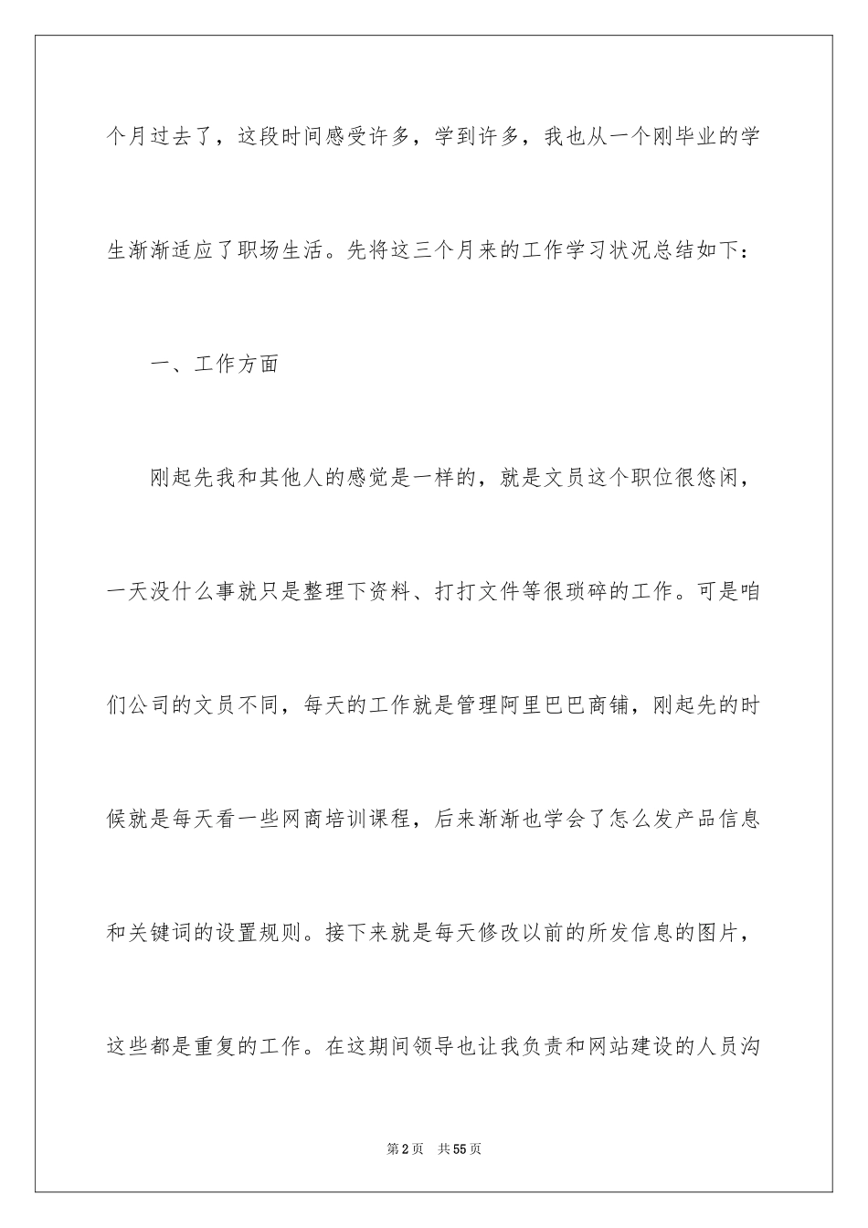 2024公司新员工试用期个人工作总结_1_第2页