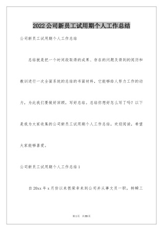 2024公司新员工试用期个人工作总结_1