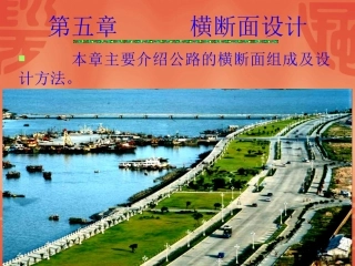 第五章 横断面设计(95)