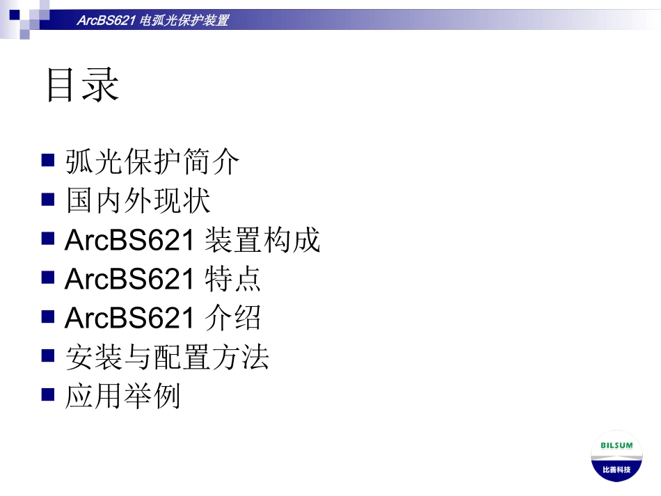 电弧光保护装置_第2页