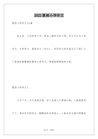 2024夏雨小学作文_2