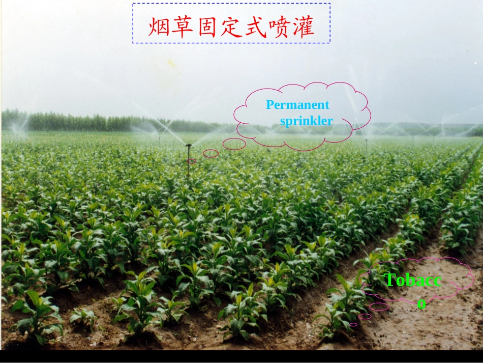 第二章 喷灌工程技术_第2页