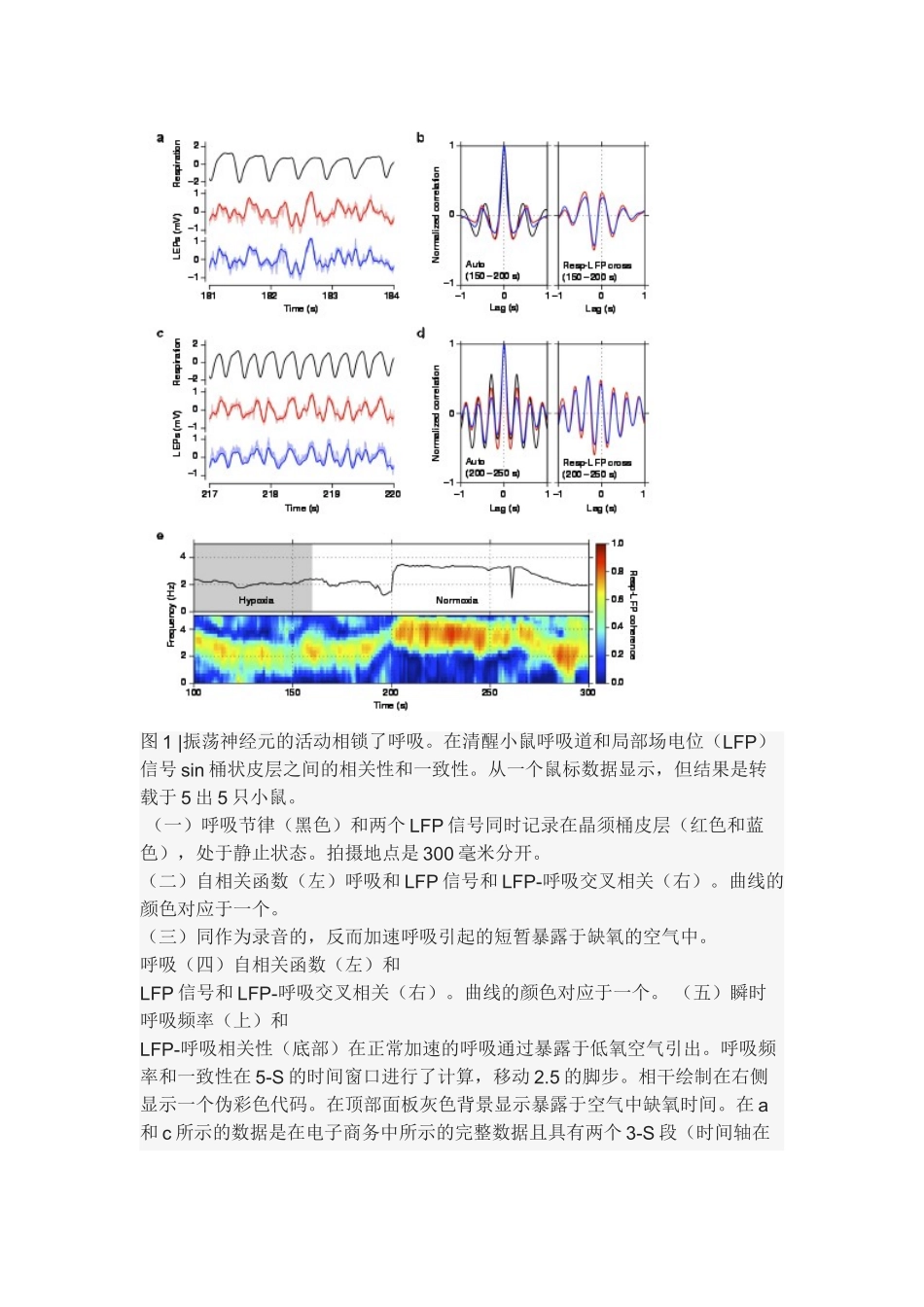 小鼠呼吸状态下晶状皮质层脑电波分析_第2页