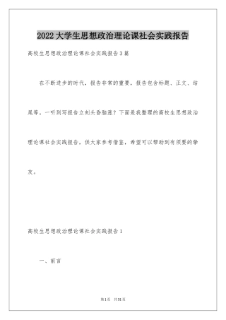 2024大学生思想政治理论课社会实践报告_2