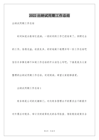 2024出纳试用期工作总结_18
