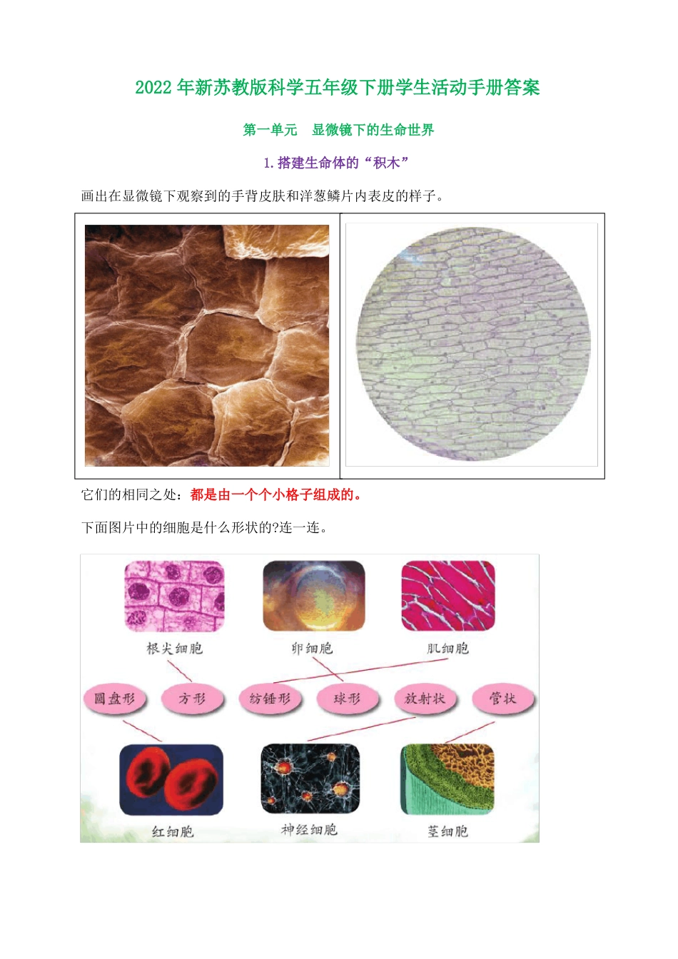 2022年新苏教版科学五年级下册学生活动手册答案精心整理_第1页
