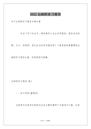 2024出纳的实习报告_110
