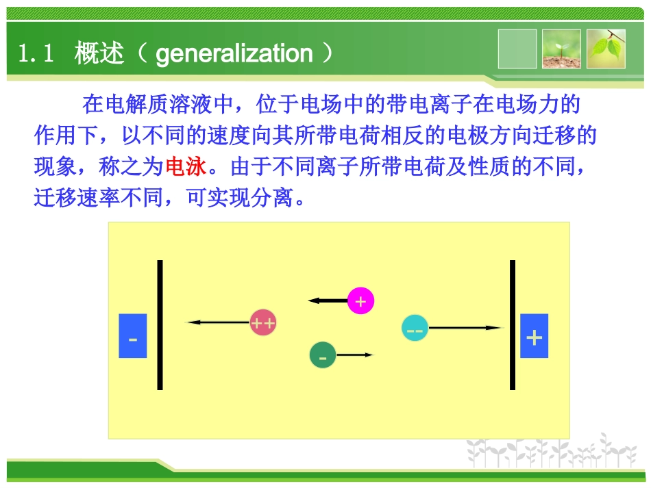 高效毛细管电泳分离氨基酸_第2页