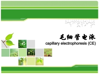 高效毛细管电泳分离氨基酸