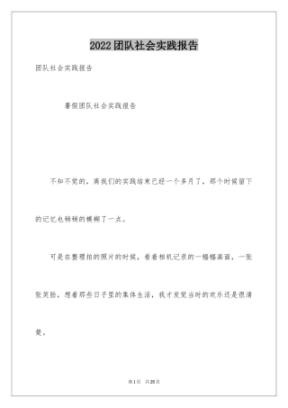 2024团队社会实践报告_2