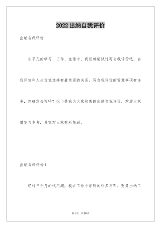 2024出纳自我评价_2
