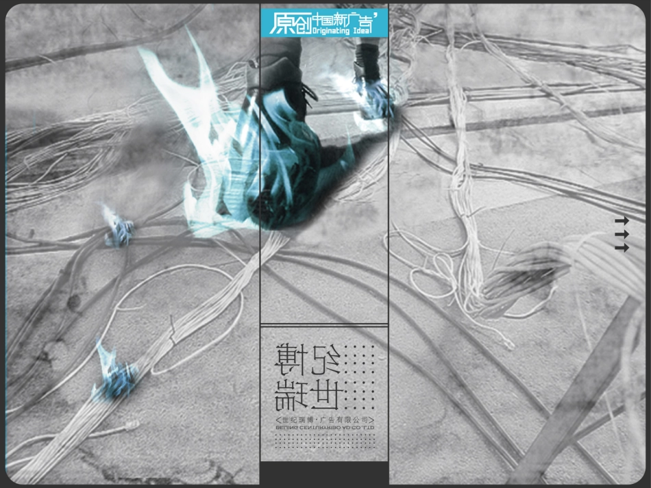 香颂花园洋房提案_第2页