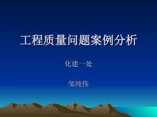质量问题分析1处