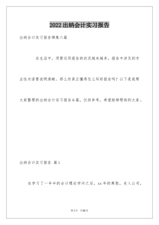 2024出纳会计实习报告_2