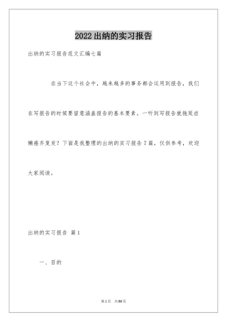 2024出纳的实习报告_57