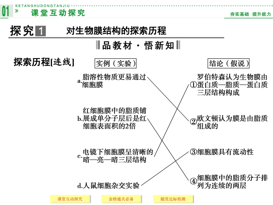 高中生物人教版必修一上篇第4章第2节生物膜的流动镶嵌模型_第3页