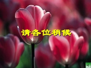 在役桥梁承载力评价-等级、检算评价