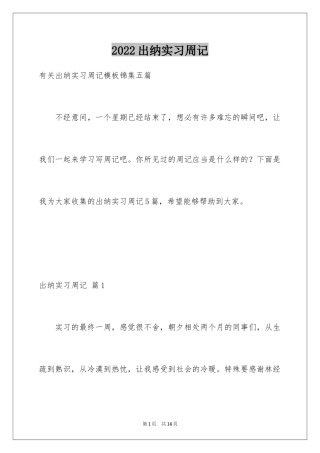 2024出纳实习周记_25