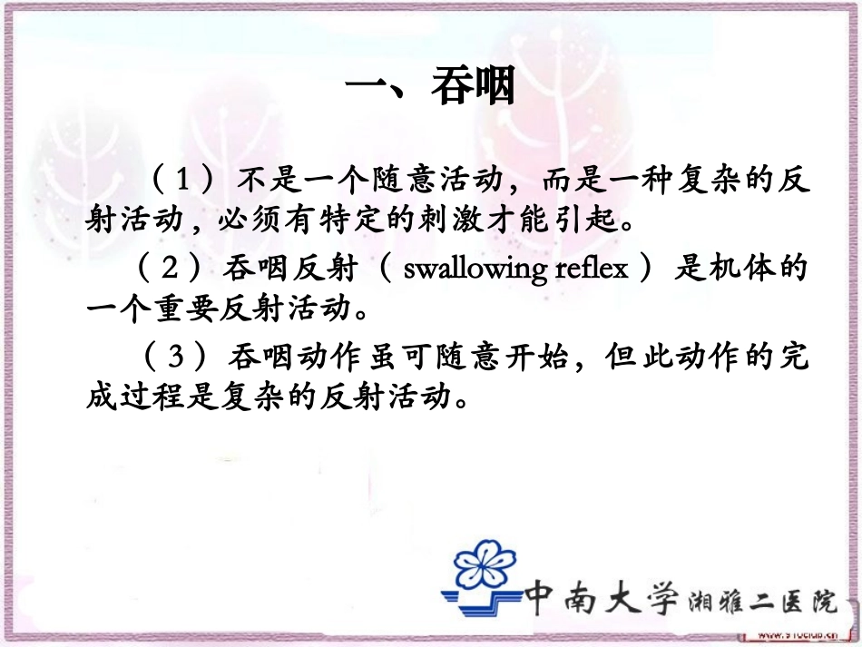 吞咽的解剖-张长杰_第2页
