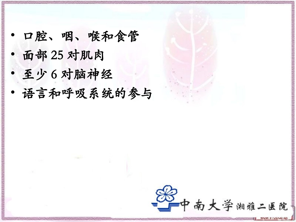 吞咽的解剖-张长杰_第3页