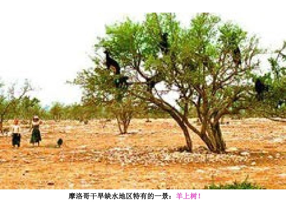 工程建设与地下水2(陶月赞)_第2页
