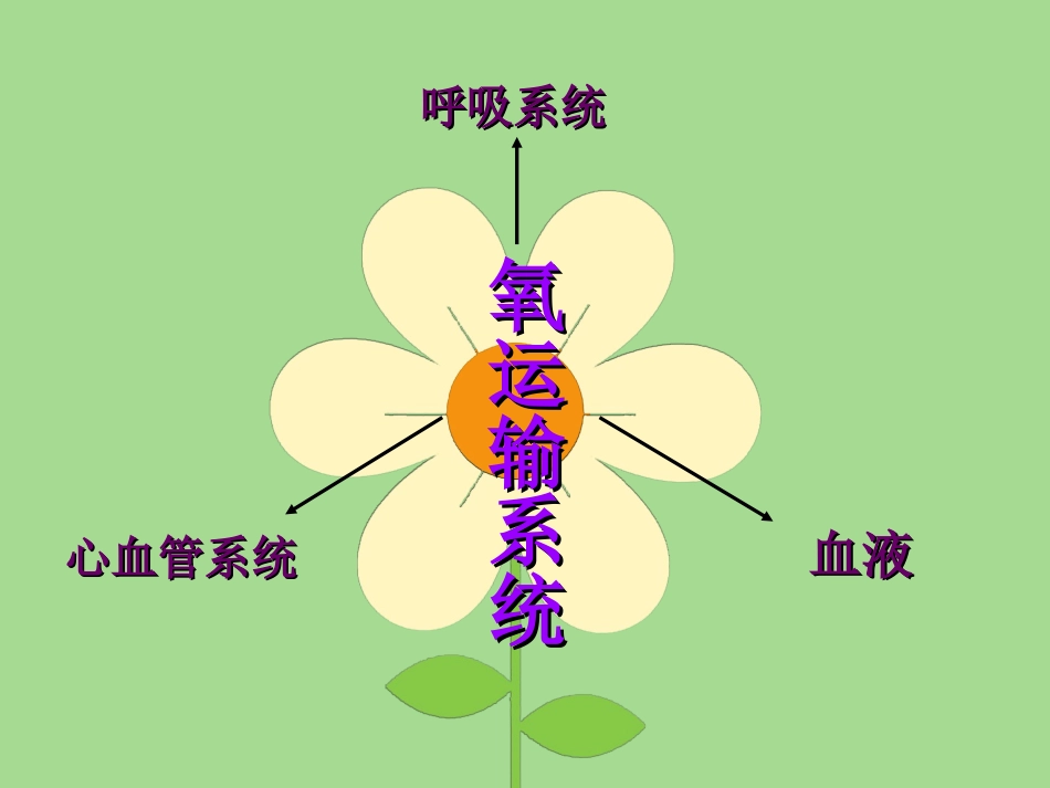 运动与氧运输系统_第2页