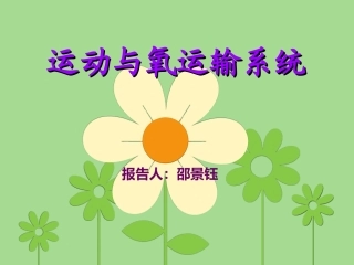 运动与氧运输系统