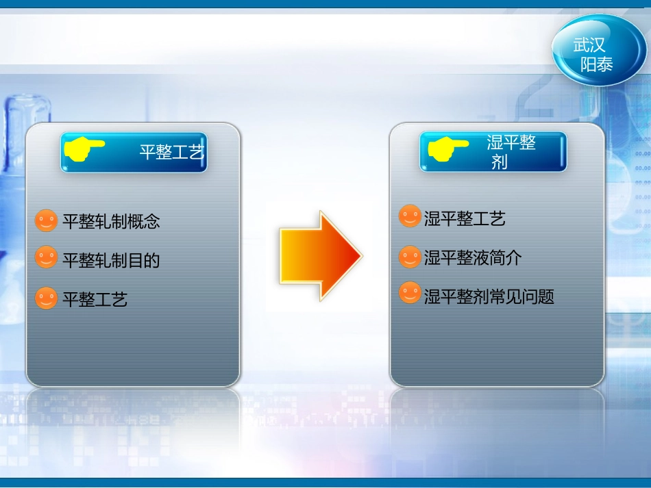 武汉阳泰平整与湿平整剂(定稿)_第2页