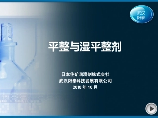 武汉阳泰平整与湿平整剂(定稿)