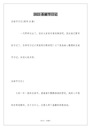 2024圣诞节日记_71
