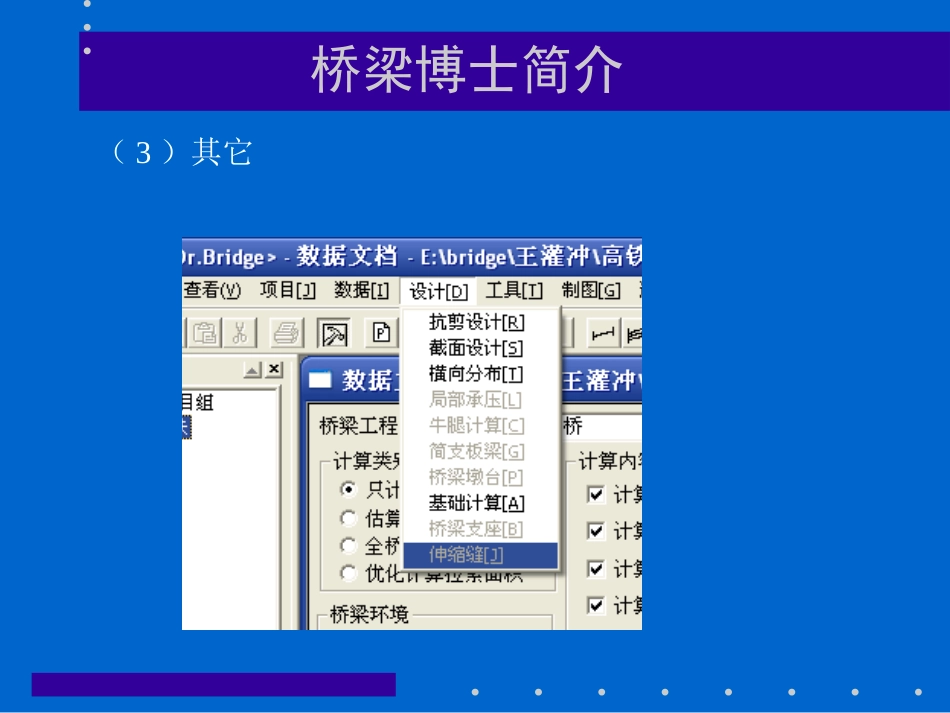 桥梁博士   教程_第3页