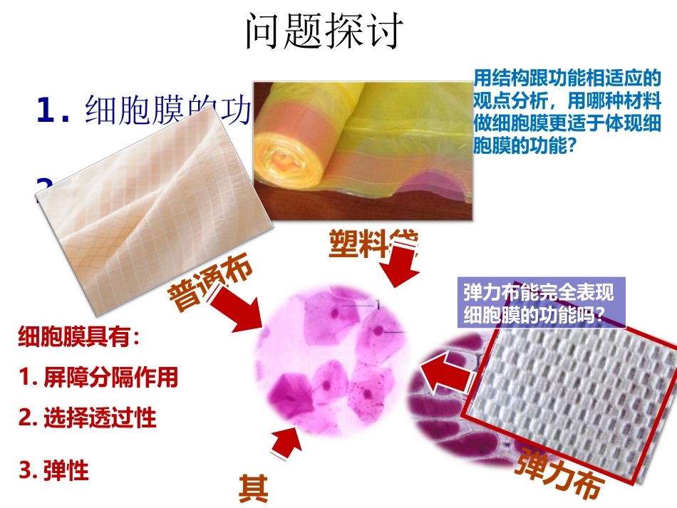 高中生物同步课件：4.2 生物膜的流动镶嵌模型(4)(人教版必修1)_第2页