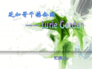 芝加哥千禧公园Luie Garden