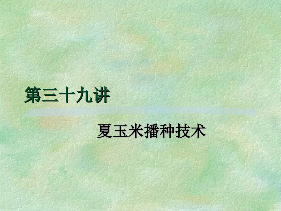 夏玉米播种技术_第2页