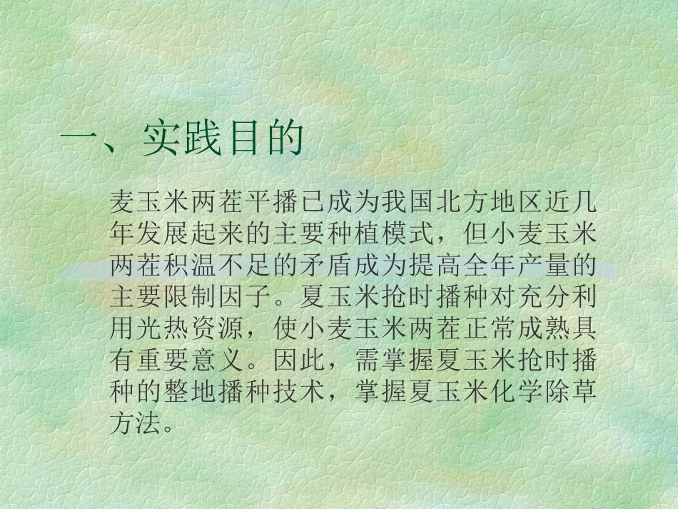夏玉米播种技术_第3页