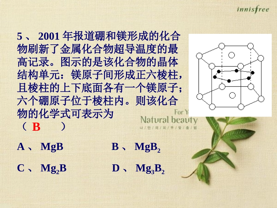 第二节 分子晶体与原子晶体_第3页