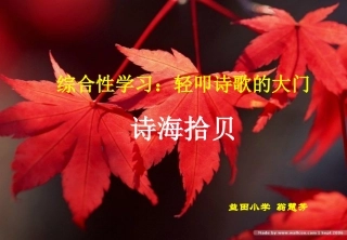 综合性学习：轻叩诗歌的大门之与诗同行习作指导