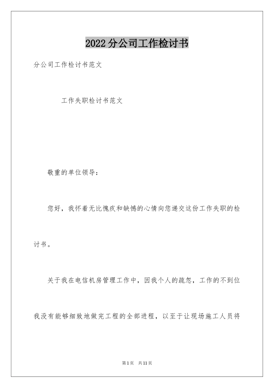 2024分公司工作检讨书_第1页