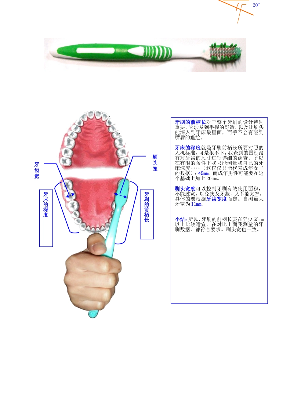牙刷的各个尺寸参数与人机应用_第3页