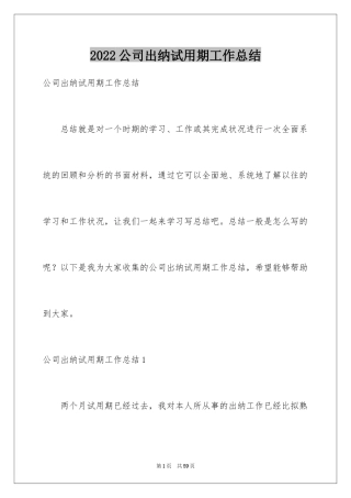 2024公司出纳试用期工作总结_3