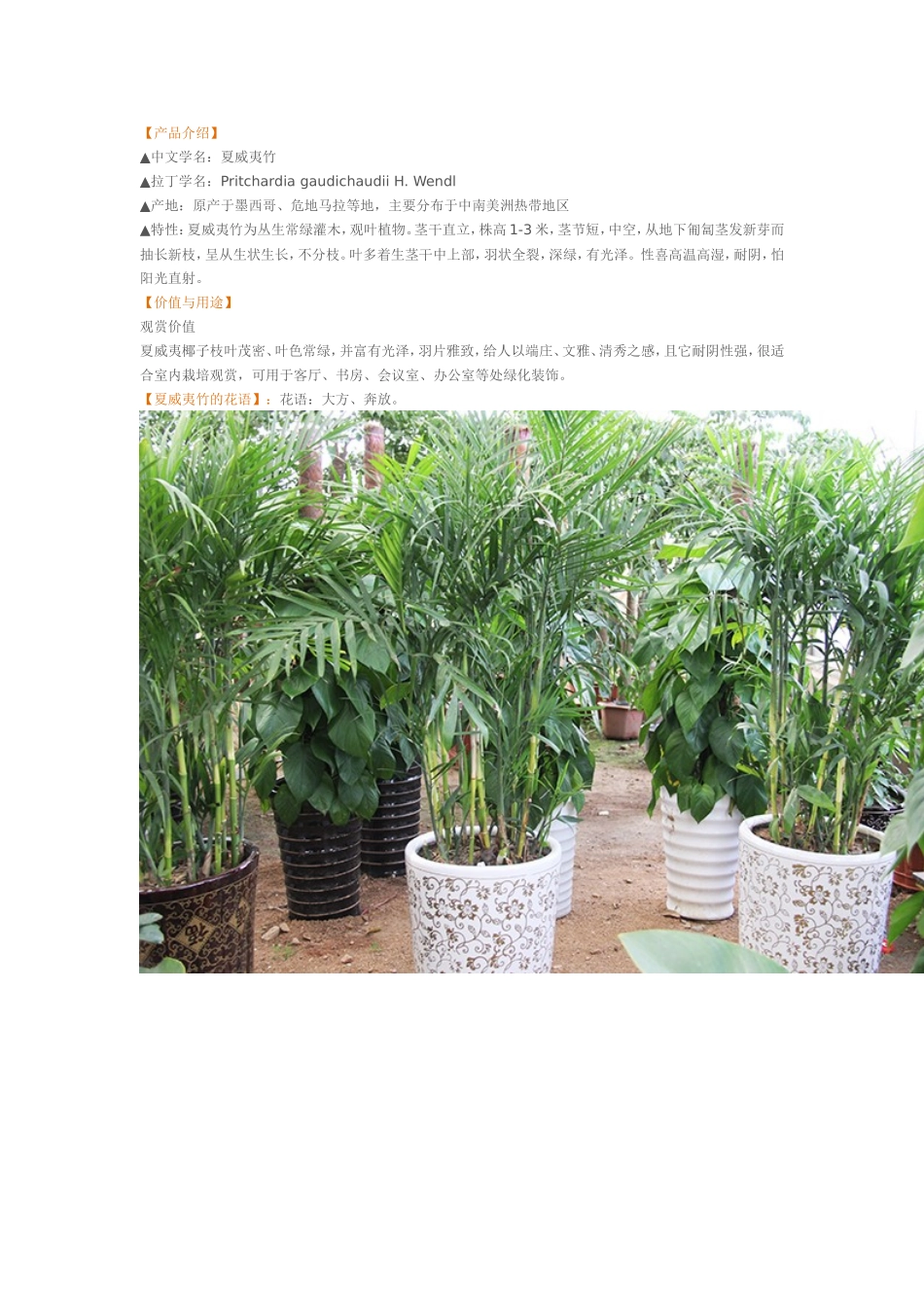 夏庄花木大世界 夏威夷竹简介_第1页