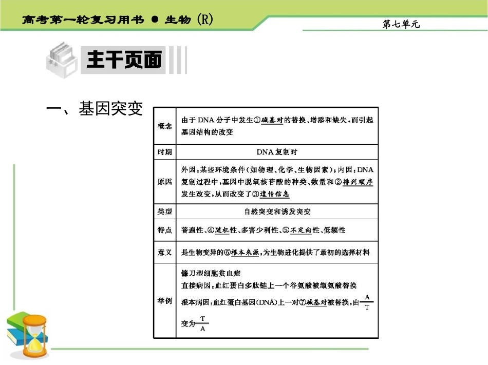 生物的变异育种与进化_第3页