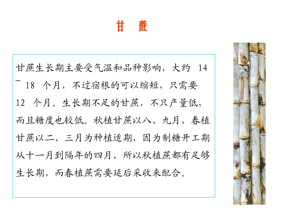 制糖工艺流程简介_第3页